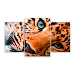 Tríptico escalonado Leopardos 11