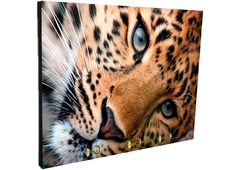 Portallaves de pared Leopardos 11 - comprar online