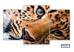 Tríptico escalonado Leopardos 11 - comprar online