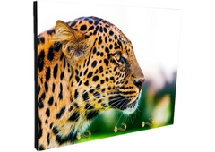 Portallaves de pared Leopardos 12 - comprar online
