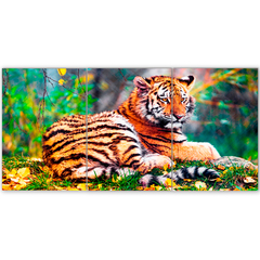 Tríptico simple Tigres 123
