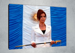 Cristina Kirchner 13 en internet