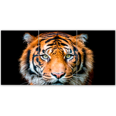 Tríptico simple Tigres 139