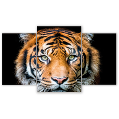Tríptico escalonado Tigres 139