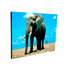 Portallaves de pared Elefantes 14