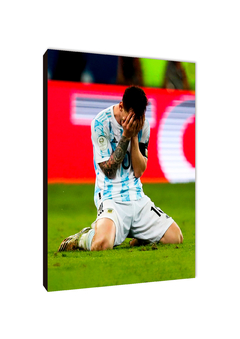 Lionel Messi 14