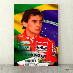 Ayrton Senna 14 - comprar online