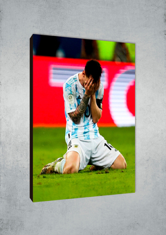 Lionel Messi 14 en internet