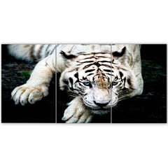 Tríptico simple Tigres 149