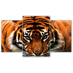 Tríptico escalonado Tigres 151