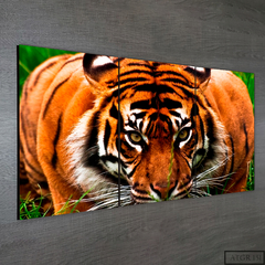 Tríptico simple Tigres 151 - comprar online