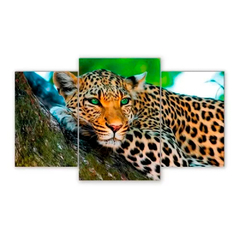 Tríptico escalonado Leopardos 17