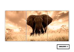 Tríptico simple Elefantes 17 - comprar online
