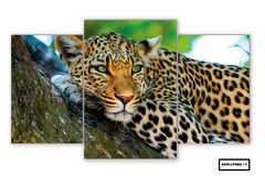 Tríptico escalonado Leopardos 17 - comprar online