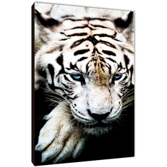 Tigres 179 - comprar online