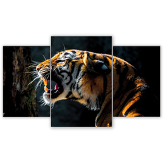Tríptico escalonado Tigres 186