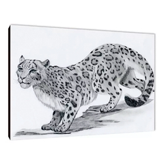 Leopardos 20