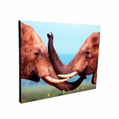 Portallaves de pared Elefantes 20