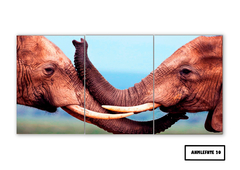 Tríptico simple Elefantes 20 - comprar online