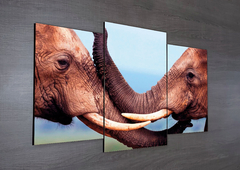 Tríptico escalonado Elefantes 20 - comprar online