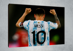 Lionel Messi 20 en internet