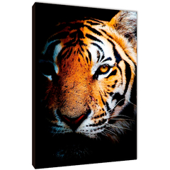 Tigres 209 - comprar online