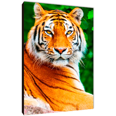 Tigres 214 - comprar online