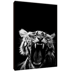 Tigres 227 - comprar online