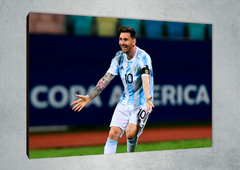 Lionel Messi 24 en internet