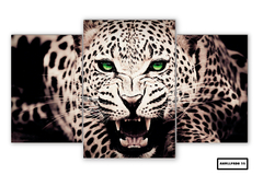 Tríptico escalonado Leopardos 25 - comprar online