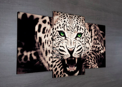 Tríptico escalonado Leopardos 25 en internet