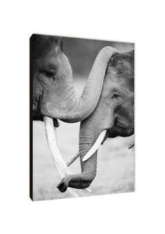 Elefantes 26 - comprar online