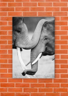 Elefantes 26 - tienda online