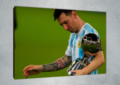 Lionel Messi 28 en internet