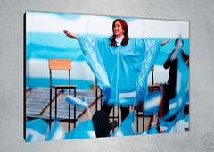 Cristina Kirchner 29 en internet