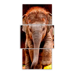 Tríptico escalonado Elefantes 31