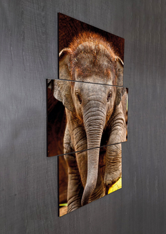 Tríptico escalonado Elefantes 31 - comprar online