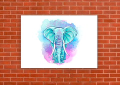Elefantes 37 - tienda online