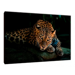 Leopardos 4