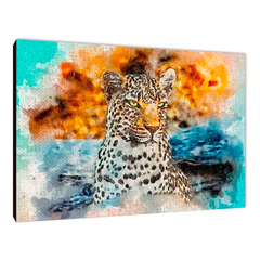 Leopardos 41
