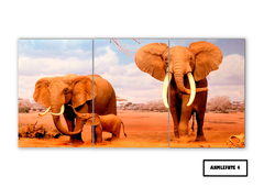 Tríptico simple Elefantes 4 - comprar online