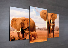 Tríptico escalonado Elefantes 4 - comprar online