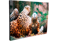 Portallaves de pared Leopardos 43 - comprar online