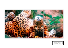 Tríptico simple Leopardos 43 - comprar online