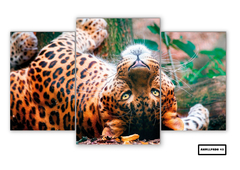 Tríptico escalonado Leopardos 43 - comprar online