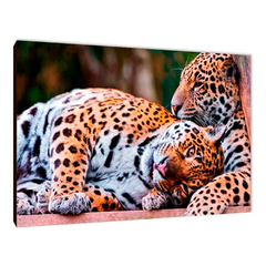 Leopardos 44
