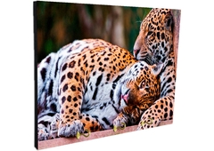 Portallaves de pared Leopardos 44 - comprar online