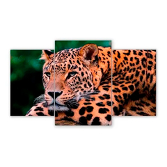 Tríptico escalonado Leopardos 46
