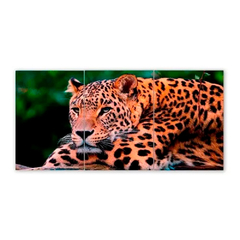 Tríptico simple Leopardos 46