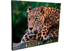 Portallaves de pared Leopardos 46 - comprar online